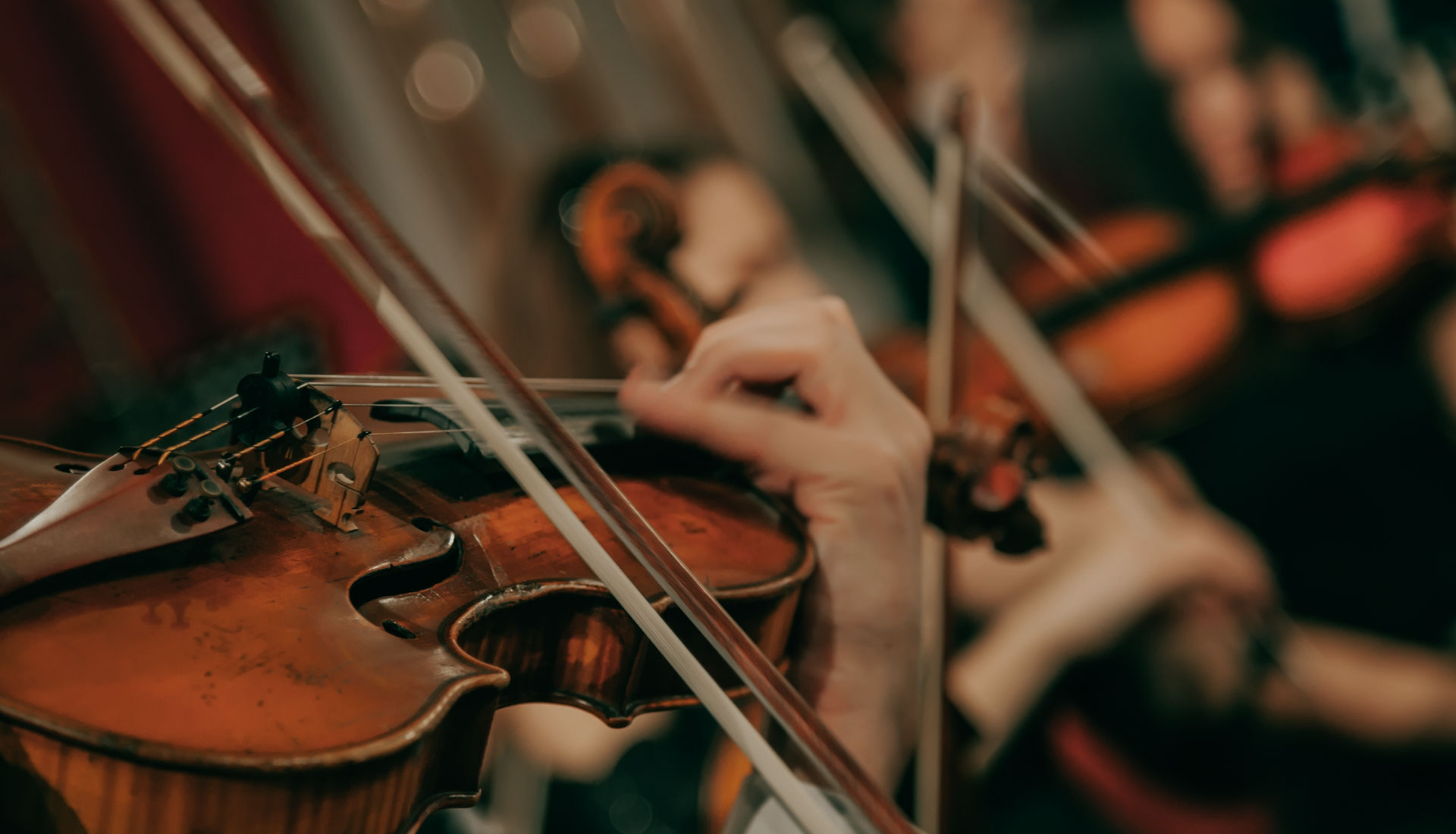 Add Live Strings Professional Violinis